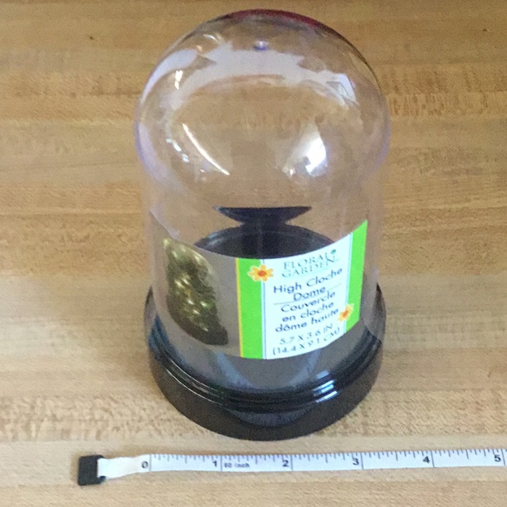 NWT High Cloche Dome